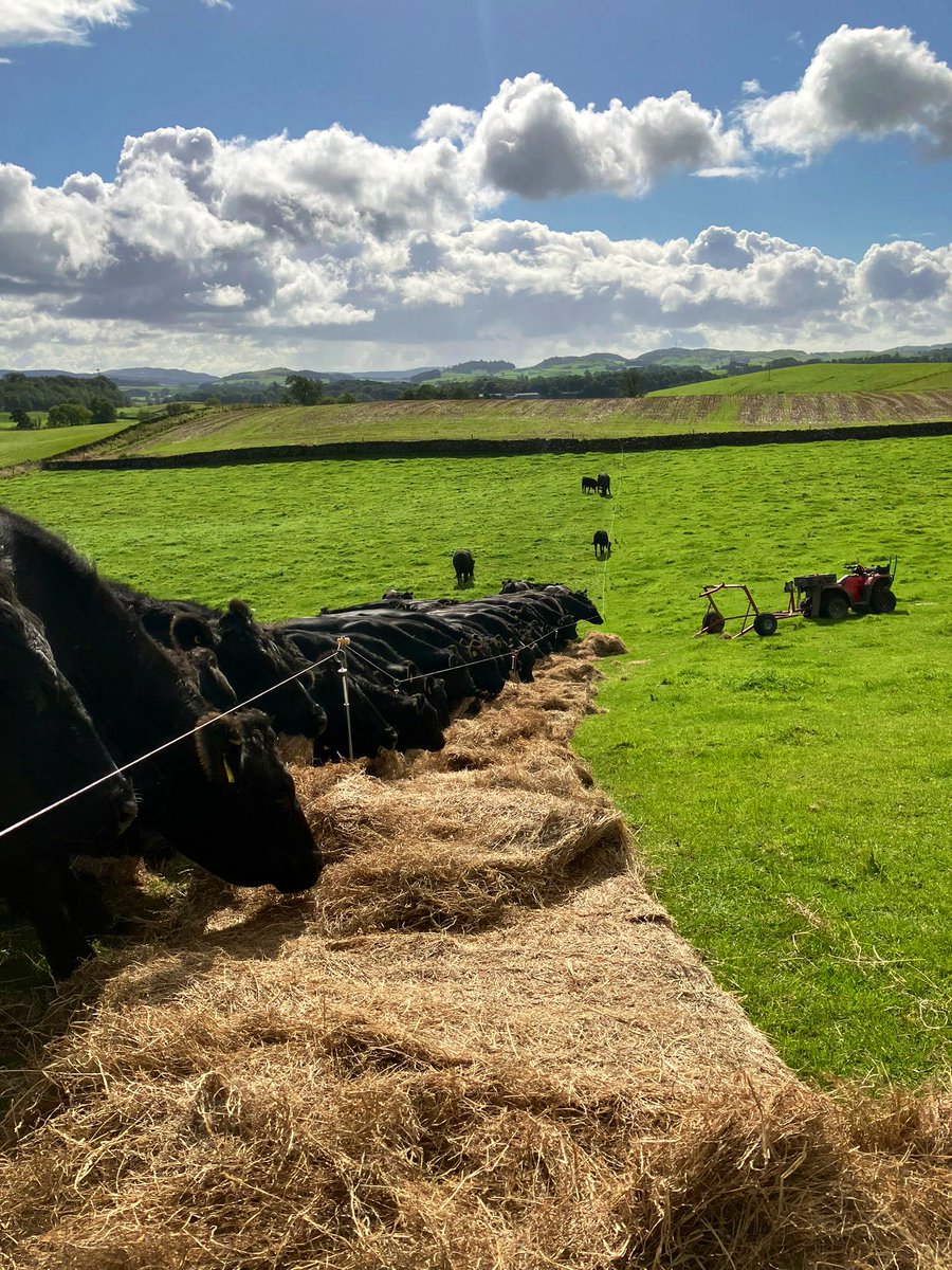 Chapelton Farm tweet media