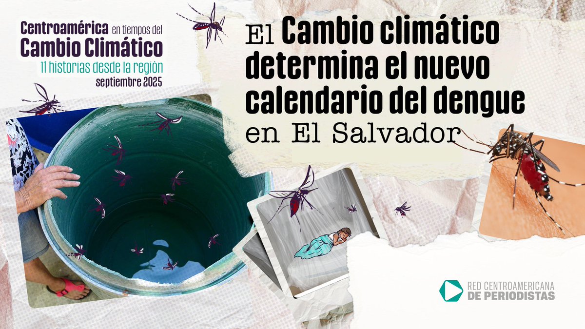 El cambio climático impacta en la salud. En El Salvador, el dengue dejó de responder a las temporadas lluviosas y pone en riesgo a más comunidades. <a href="/PeriodistasCA/">Red Centroamericana Periodistas, ARCP</a> 
Lee más en bit.ly/dengue_ES
#SemanaCambioClimático #Centroamerica