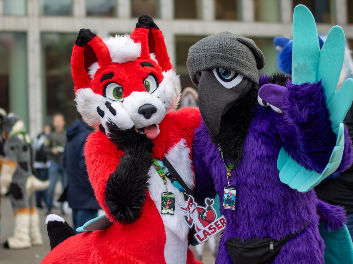 Laser the SharkFox tweet media