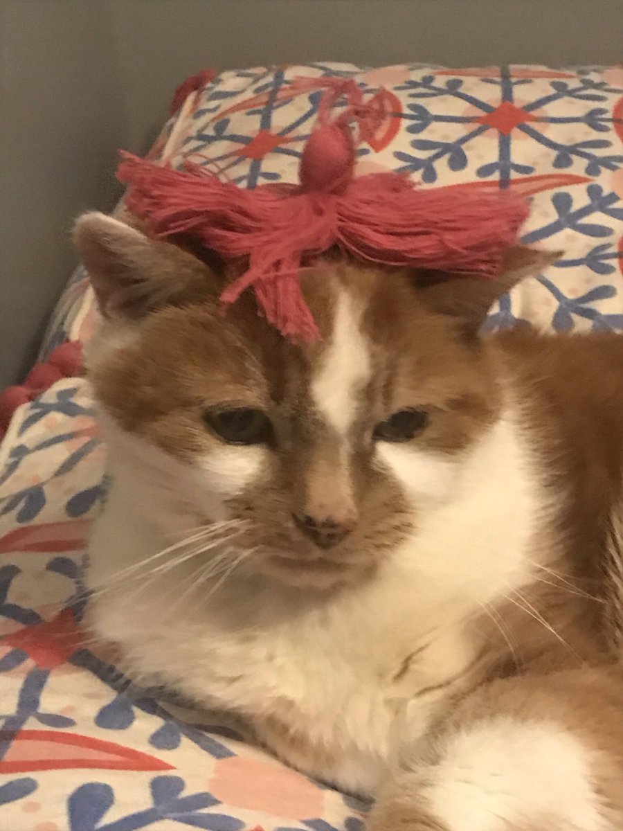 Lord_Of_Shorvia's tweet image. I miss Jasper