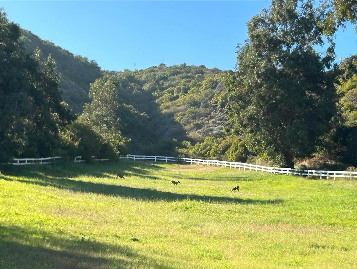 Emelia345's tweet image. Fore the love of the game. ⛳️💚
#GolfTime #SwingingAway #CourseVibes