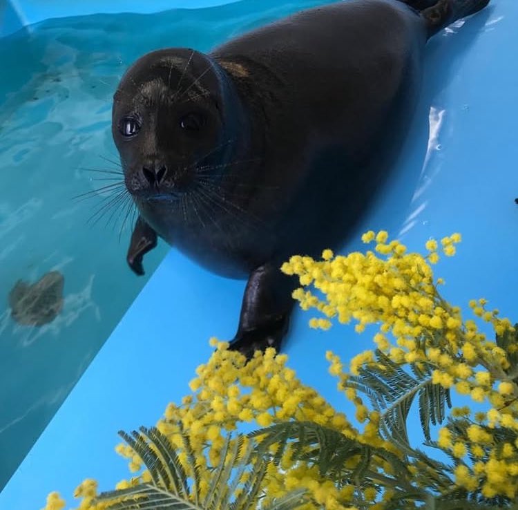 Throwback to this photo of Shlissik they took for his first birthday