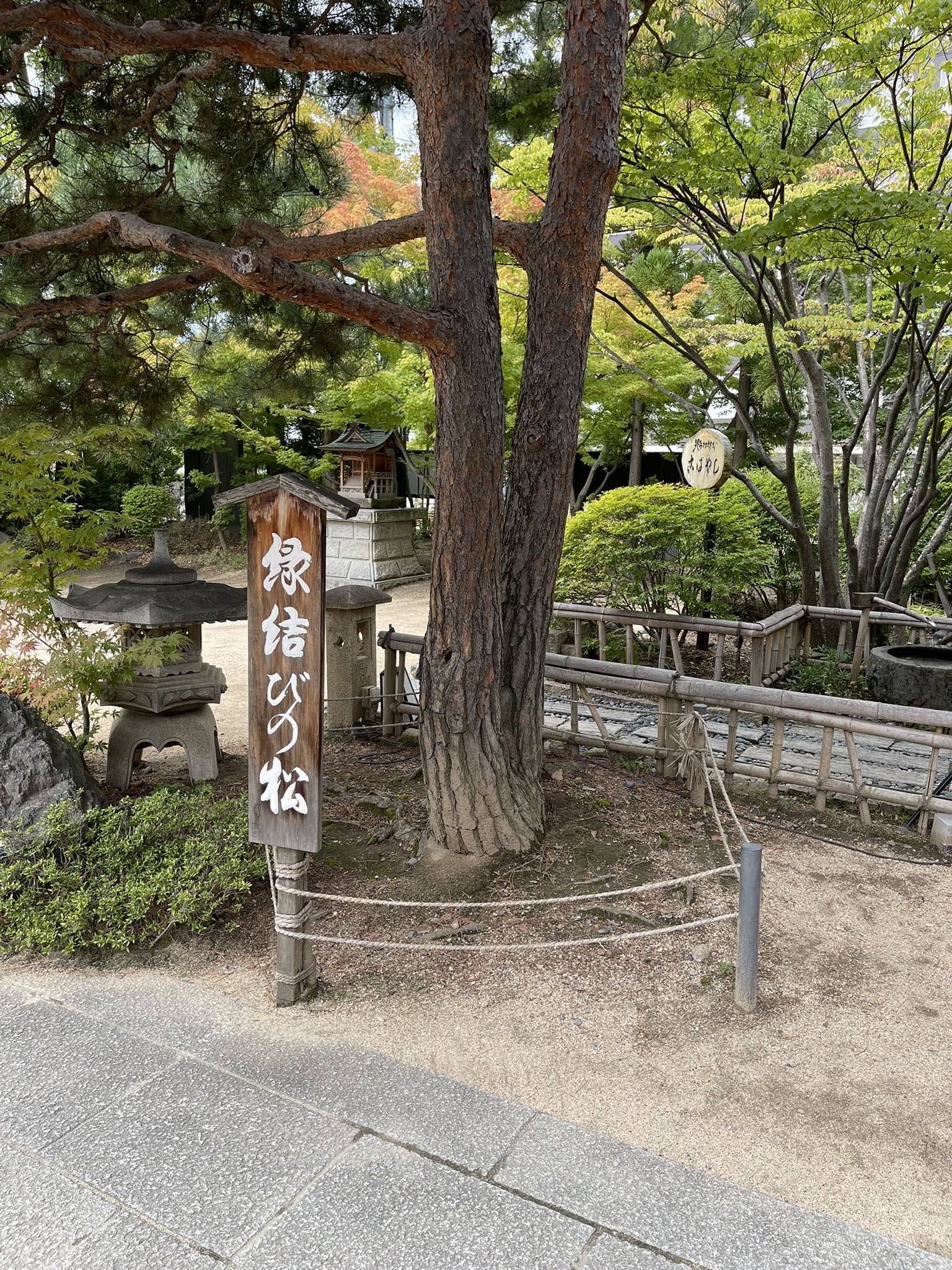 自然 RHシリーズ 4億年の神秘 2個入り 楽天市場】ピラミッド オブシディアン 四神獣 彫刻 置物 黒曜石