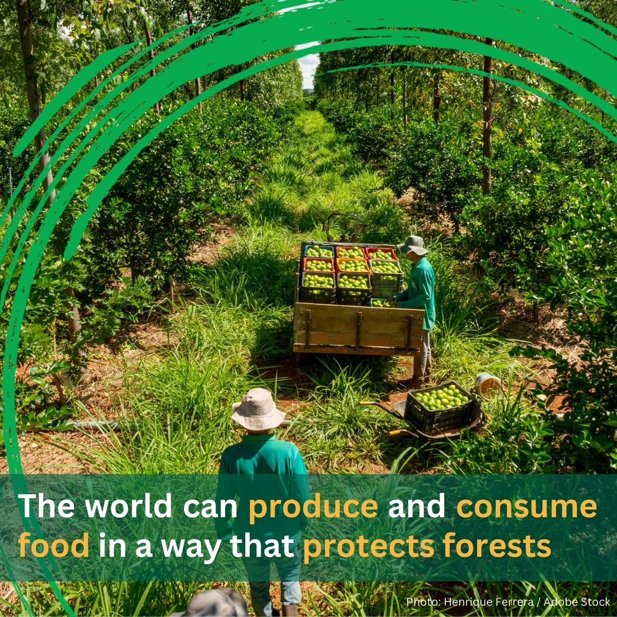 While agriculture remains a major driver of deforestation, there is plenty of evidence that it can exist in harmony with forested landscapes – and heal, instead of harm, the planet.

Blog: wrld.bg/W4pV50VloYr