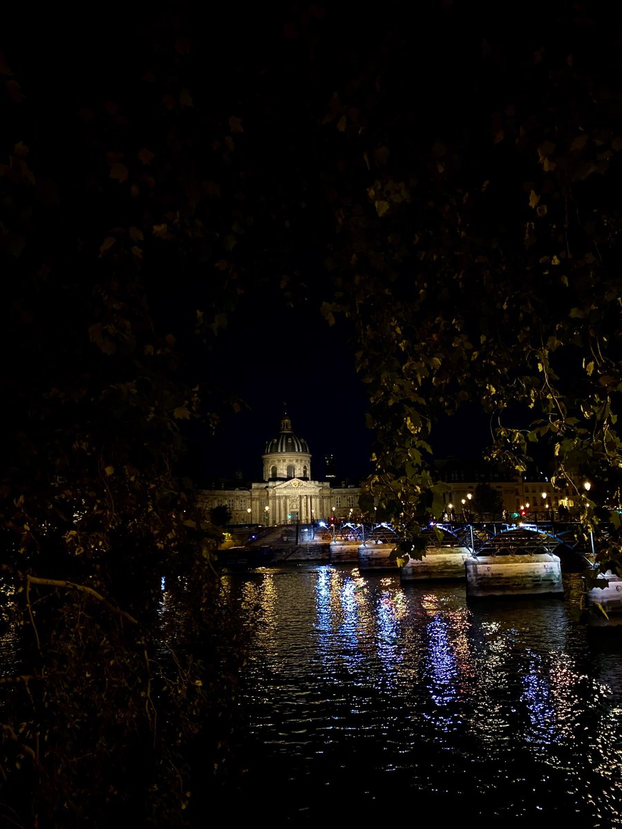 Un écrin nocturne  entre la passerelle des Arts et l ´institut de France . 📸B.Fleurot 🖤🩶💙🧡💛🤍