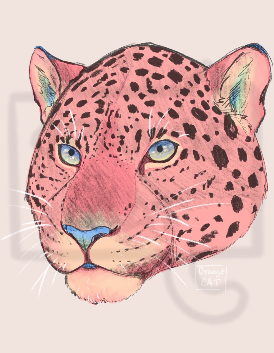 MonsterFly tweet media