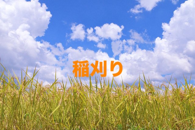 おはようございます☀
今週の合言葉は
「稲刈り」
です！ご注文の際に合言葉をお伝えいただきますと、餃子3個or小ライスサービスします！先着10名様まで！
※西根店は対象外となります。