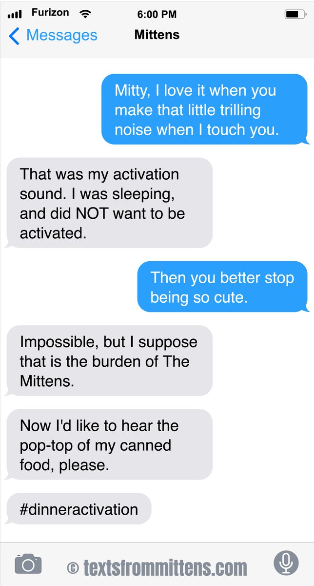 Texts from Mittens:  Activation 
Order books and calendars anywhere you buy them! (also, there's a link in bio) Texts from Mittens, copyright 2013-2025  #textsfrommittens