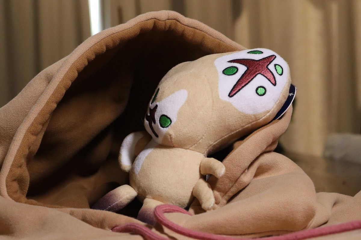 The limited edition SCP-173 hoodie has reached its funding goal! Don't worry though, just because it's reached the goal doesn't mean we are done selling them. They will still be for sale until October 5th, so get yours before its gone for good! makeship.com/products/scp-1…