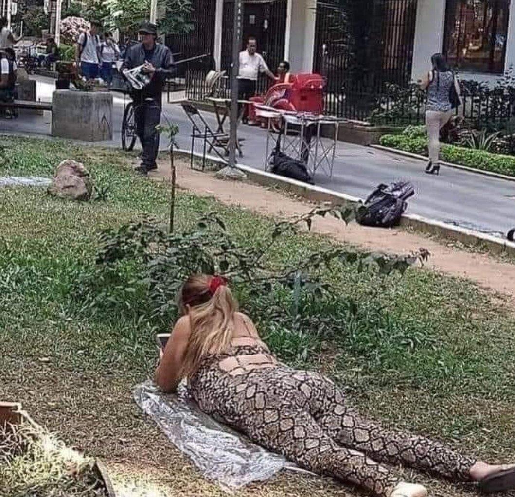 T_a_t_e_n_d_a's tweet image. Since y'all are so smart what kind of snake is this