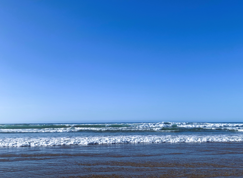 Gabriela tweet media