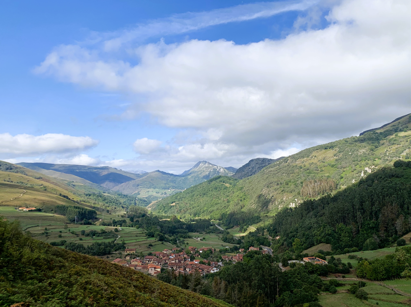 Gabriela tweet media