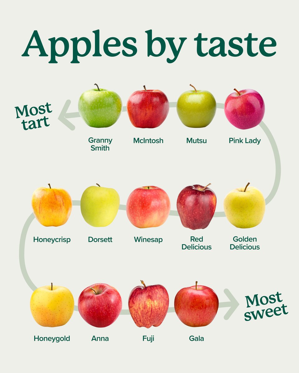 Which one is your favorite? 🍎🍏

#AppleTrees