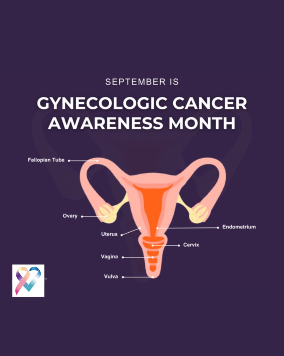 MDP_CF's tweet image. Remember that Sept is gynecological cancer awareness month! Educate yourself on the woman’s body &amp;amp; these types of cancers. While you’re at it, buy your tix to The Kennedy Black &amp;amp; White Ball on our website! Presale ends SOON (Oct 5)

#MDPCF #delaware
#gynecologicalcancerawareness