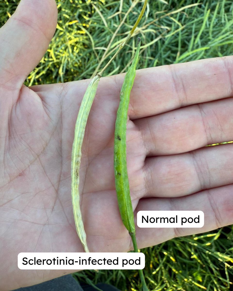 Crop Management Network Inc. tweet media