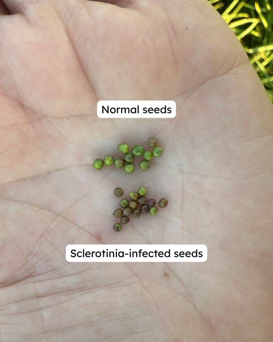 Crop Management Network Inc. tweet media