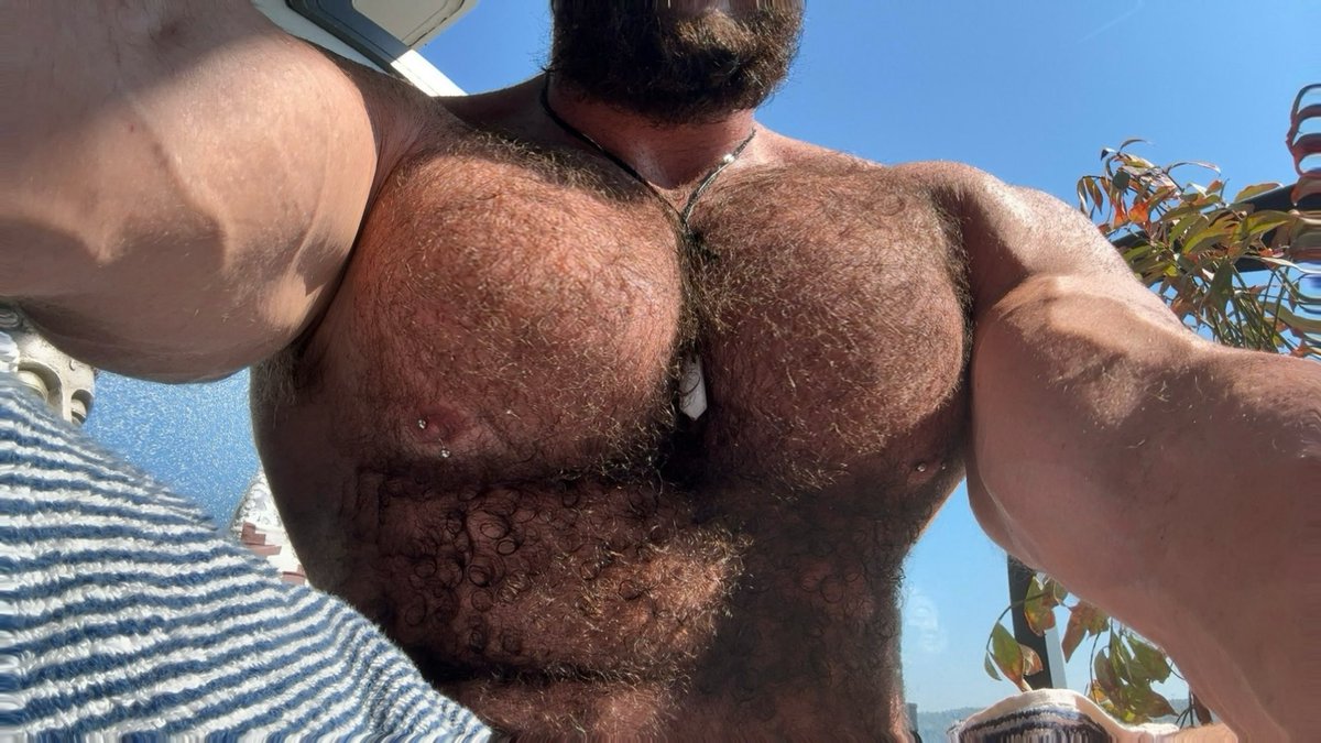 Damian_Truelove's tweet photo. Should I Shave All This Off? https://t.co/LrZunGzVrr