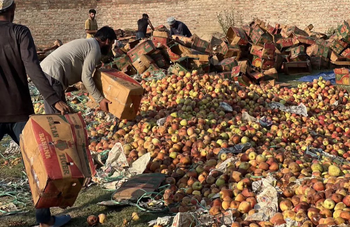 ChTazeemGujjar3's tweet photo. Kashmir’s apple growers face huge losses due to transport hurdles.  
We  appeal to CM Omar Abdullah Sb to kindly expedite the opening of the NationalHighway and direct NHAI to allow commercial vehicles carrying apples to move freely across the country  so  #SaveKashmiriApple https://t.co/XR0ne9WJRF