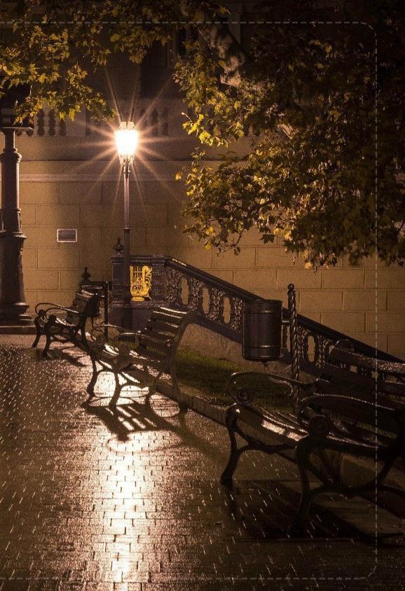 Катерина Галич tweet media