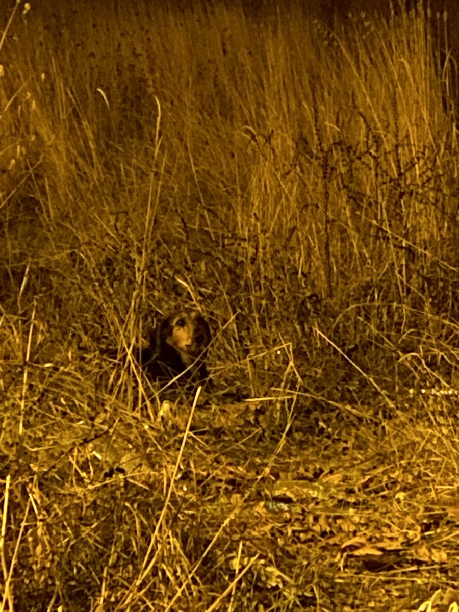 Bulundu ama gelmiyor burada bir arkadaşla ikna çalışmaları yürütüyoruz :D