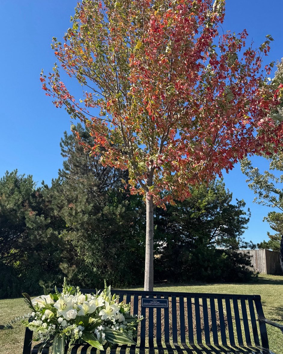 امروز طی مراسمی از درخت افرایی که به یاد ژینا مهسا امینی کاشته شده بود در کنار نیمکتی به نام او در شهر ریچموندهیل در شمال تورنتو رونمایی شد. آقای دیوید وست شهردار ریچموندهیل و شورای شهر، این نماد را در همان جایی در نظر گرفتند که سه سال پیش بیش از پنجاه هزار نفر از ایرانیان تورنتو