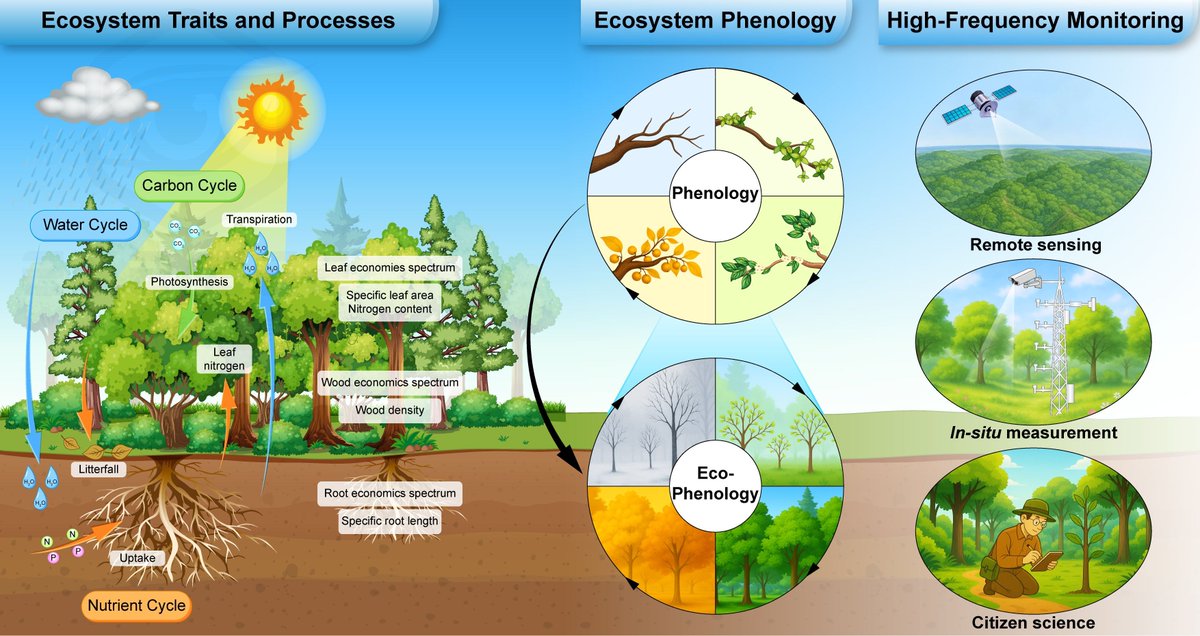 Global Change Biology tweet media