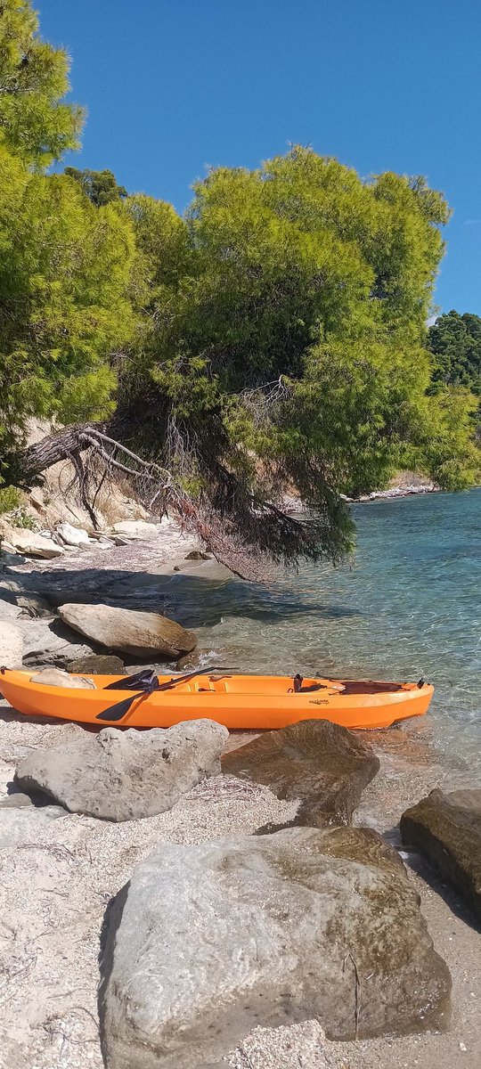 Mist, habe meine private Keys für die wallet bei einen bootsunfall verloren. Man denkt es sei immer nur eine Phrase, bis es einen selber passiert. Ich werde tauchen gehen.