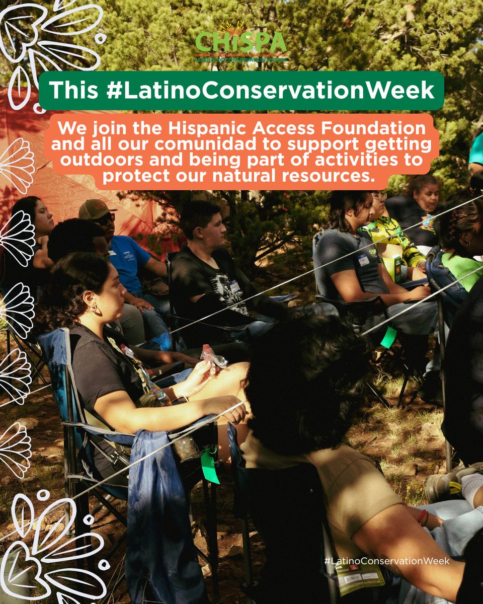 Chispa LCV tweet media