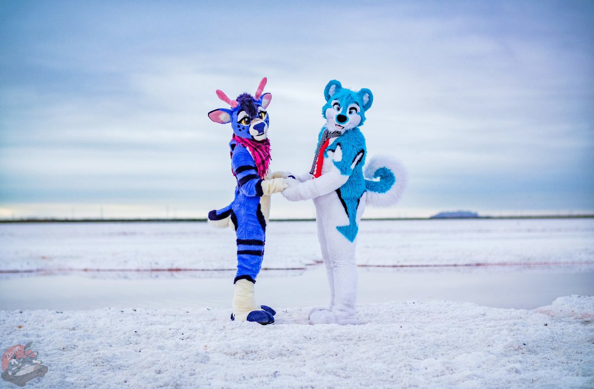 Jumping even later into furry couples trend! 

A husky deer combo! 💜 💙

🐶 <a href="/fuckKevon/">Kevon</a> 
📸 <a href="/WashiZashi/">Zashi Washi 🔜 Furum</a>