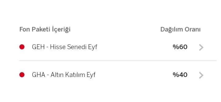 BES Yatırımcısı tweet media