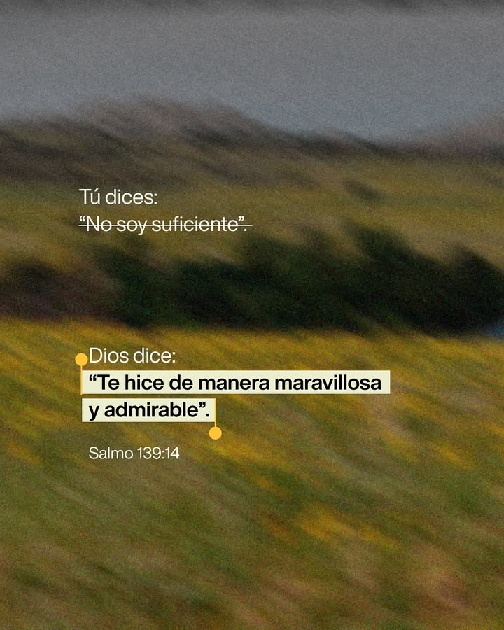 el Siervo (@elsiervo__) on Twitter photo 