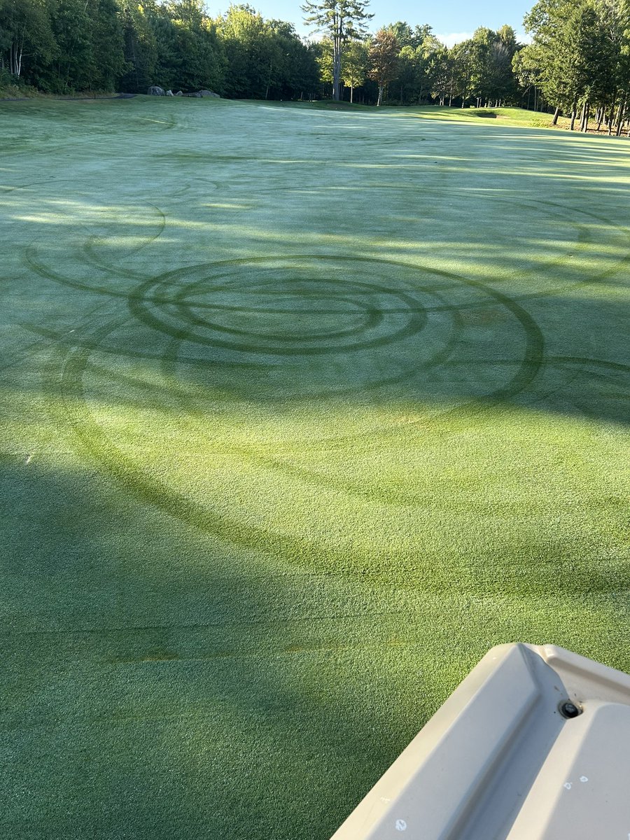 phil@belgrade tweet media