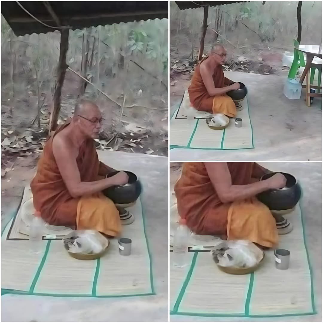 มาอ่านเเนวทางวิถีพระสงฆ์ สมถะ เรียบง่ายดูบ้างครับ 

ทำไม...?! จึงทิ้งวัดมาอยู่ป่า รูปเดียว

1.เบื่อสังคมสงฆ์

ที่มีแต่ความเละเทะ วุ่นวาย แล้วจัดการอะไรไม่ได้เลย

2. มีแต่รายการขายบุญ

เอะอะอะไรก็อ้างบุญ ทำบุญแล้วจะได้ ในสิ่งที่ต้องการ เป็นต้น

3. มีแต่พุทธพาณิชย์

ความงมงาย