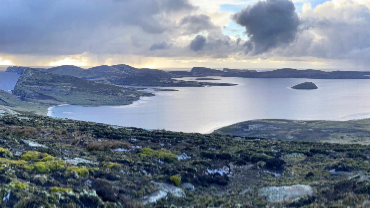 We’re delighted to announce that the New Island Restoration Programme has been awarded funding through the UK Government’s Darwin Plus scheme <a href="/UKBCFs/">Biodiversity Challenge Funds</a> 

We'd like to acknowledge the many people who over the years have helped shape and contribute towards New Island's journey.