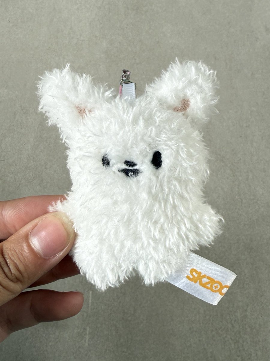 Ester • Leebit's Tours VAI VER O SKZ E O BTS tweet media