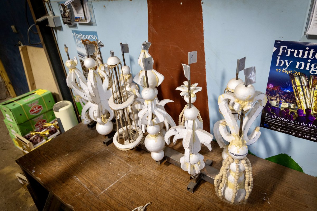 De 64e editie van het Fruitcorso Tiel wordt het allereerste Fruitcorso aan de Waal. Een nieuw parcours en prachtige Corsowagens. Vandaag op bezoek bij corsoclub Maas en Waal. Hun wagen wordt er een met Tierenlantijnen. Ga ik je zien zaterdag 27 sept.? <a href="/fruitcorso/">Fruitcorso</a>