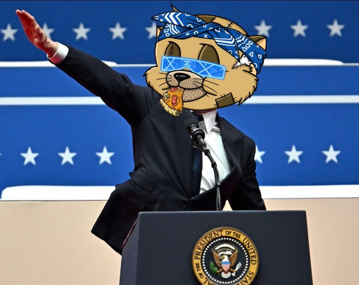 ArtofNickTaylor's tweet image. If you believed in me and @BoredCatzClub from the day we launched the retro 404s on @PUUSHDABUTTON and 🥩'd in our pools your rewards have already given you a 4x per Cat 🔥💯
Not to mention each 404 has maintained a 3x initial value 👀
Are @BoredCatzClub the #1 retro 404 on…