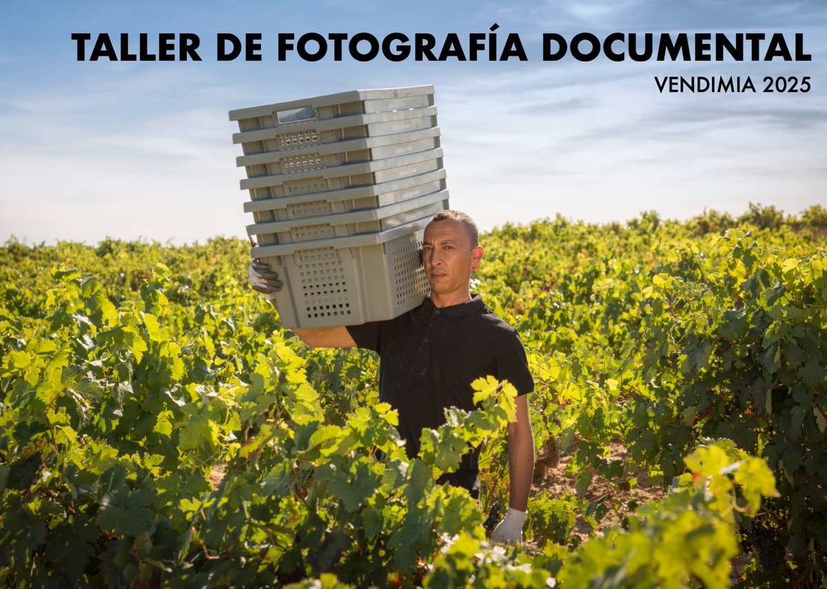 Taller de fotografía documental en la vendimia riojana
¿Te lo vas a perder?

26, 27 y 28 de septiembre de 2025

Toda la info: casadelaimagen.com/cursos_expres