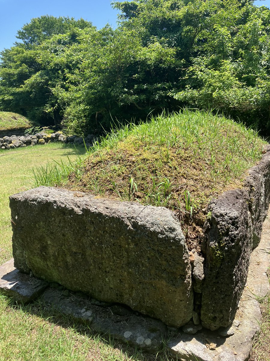 Sally Kerson 🪆 tweet media