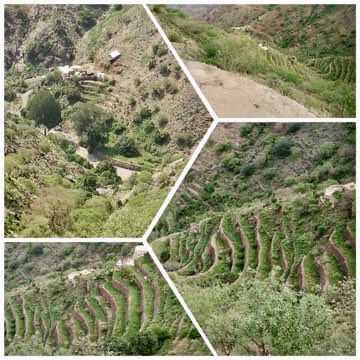 من الطبيعه الجميلة في جبال وقرى ##بلغازي ما شالله تبارك الله