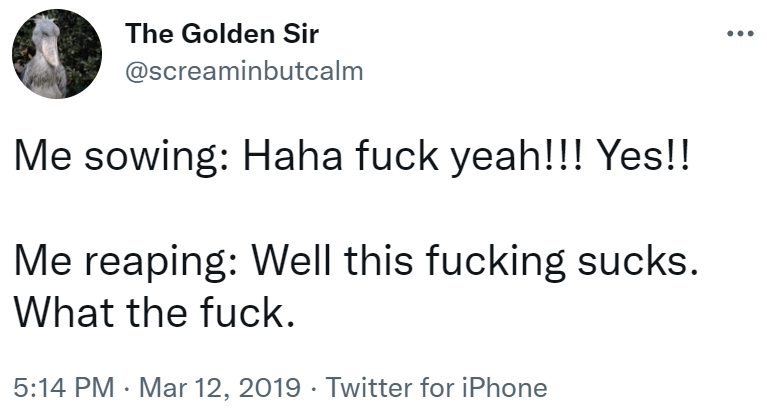 How it feels to be Destiny rn: