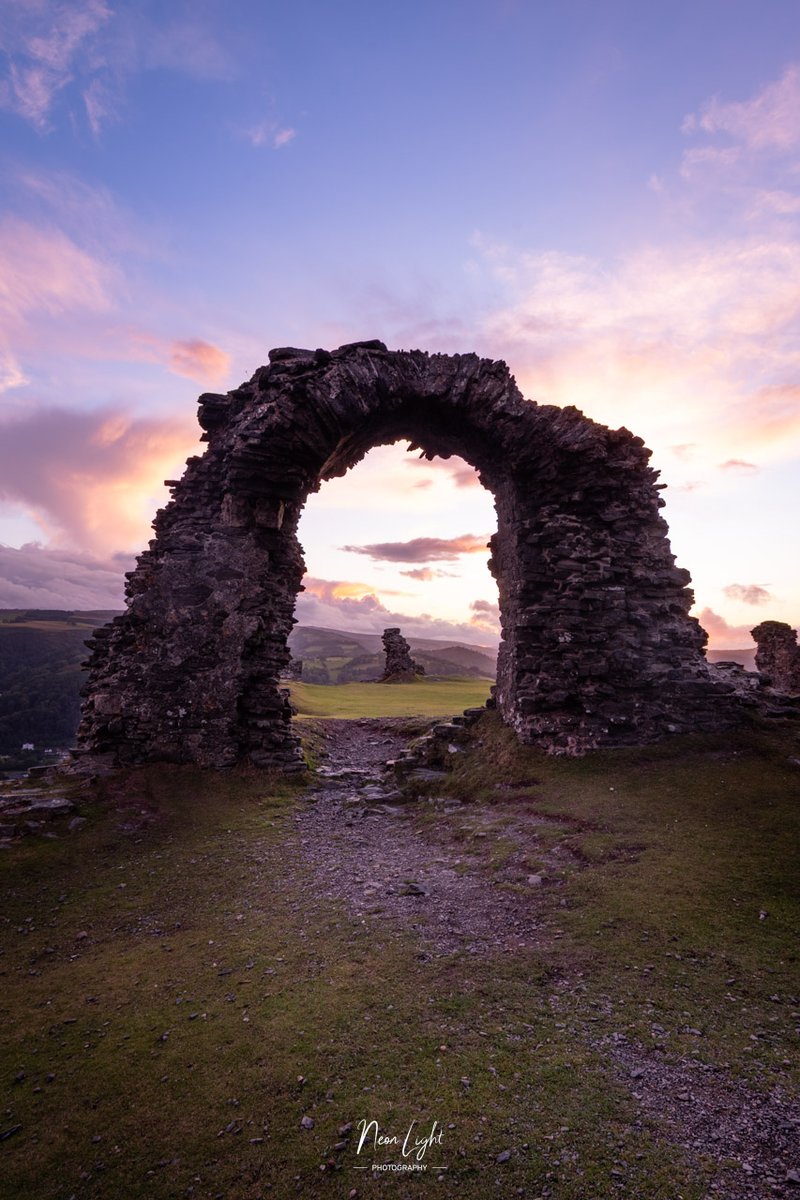 Neon Light Photography tweet media