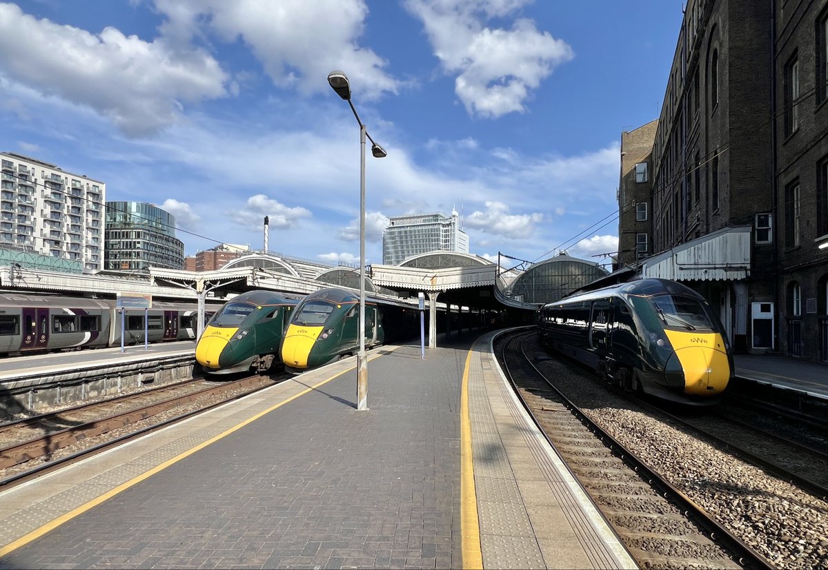 @wolfpaul31 tweet media