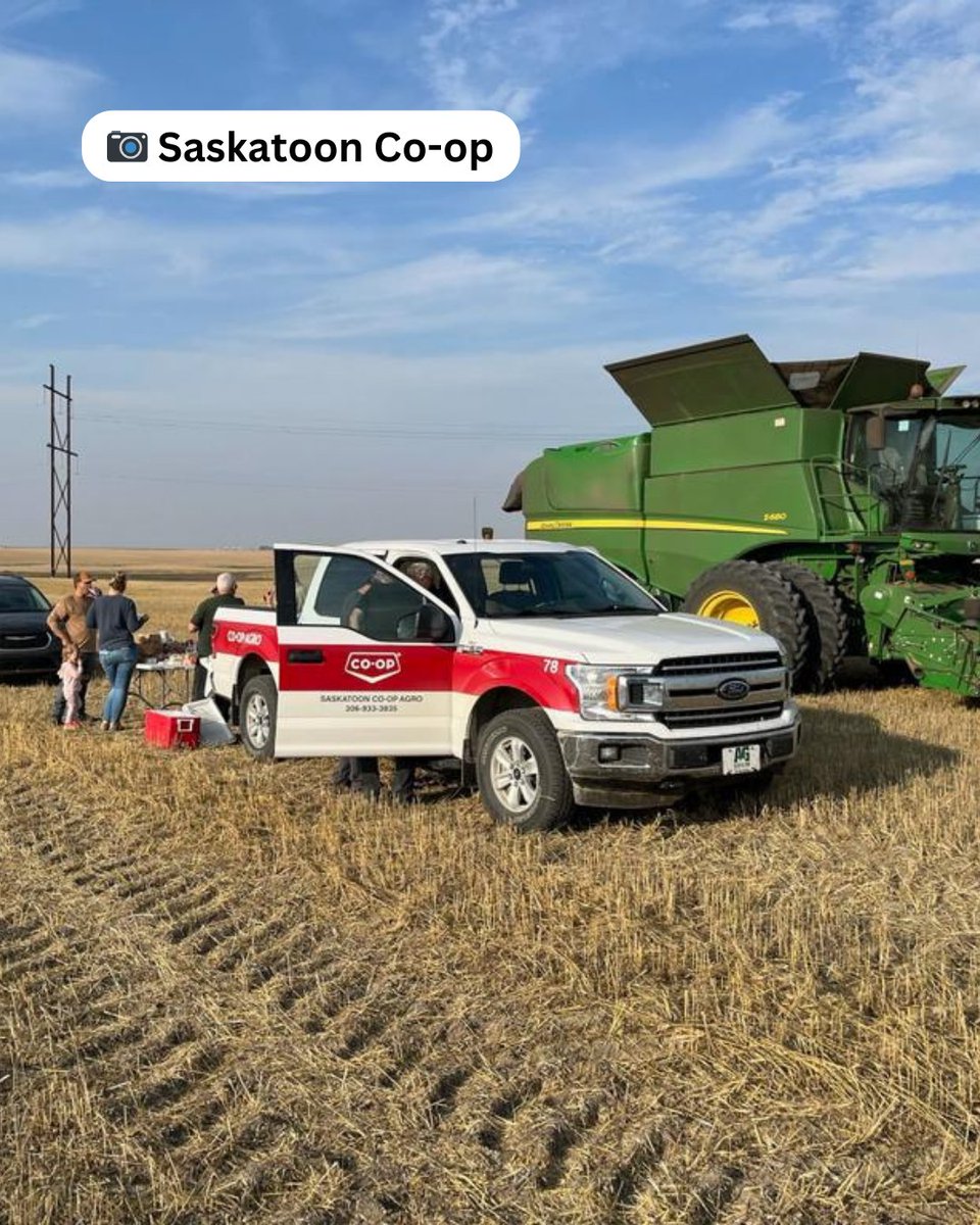 It’s Meals in the Field season! This is a Co-op tradition we look forward to each harvest where local Co-op team members host farm customers in the field with a delicious lunch or supper. It’s a small way to say thank you for allowing us to be a part of your growing season.