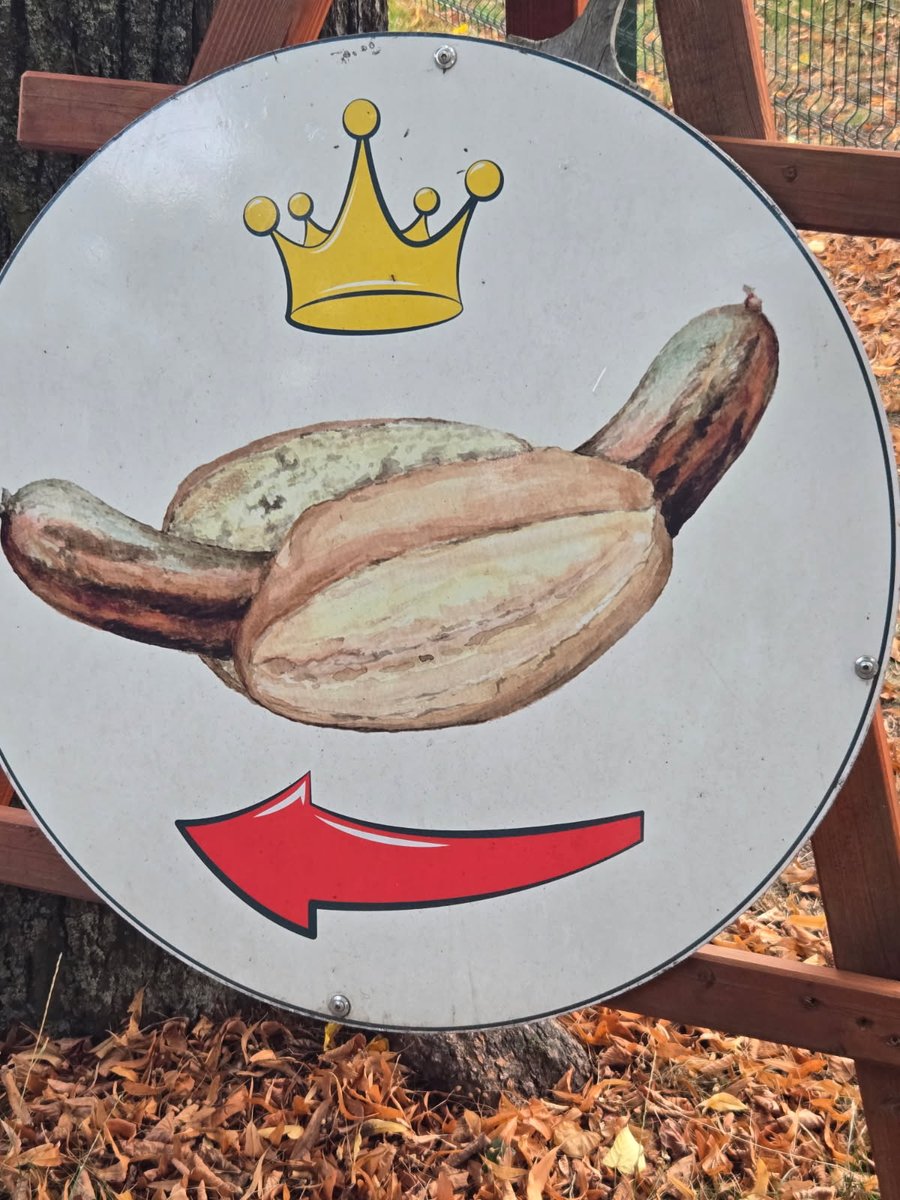 StuartSumida tweet media