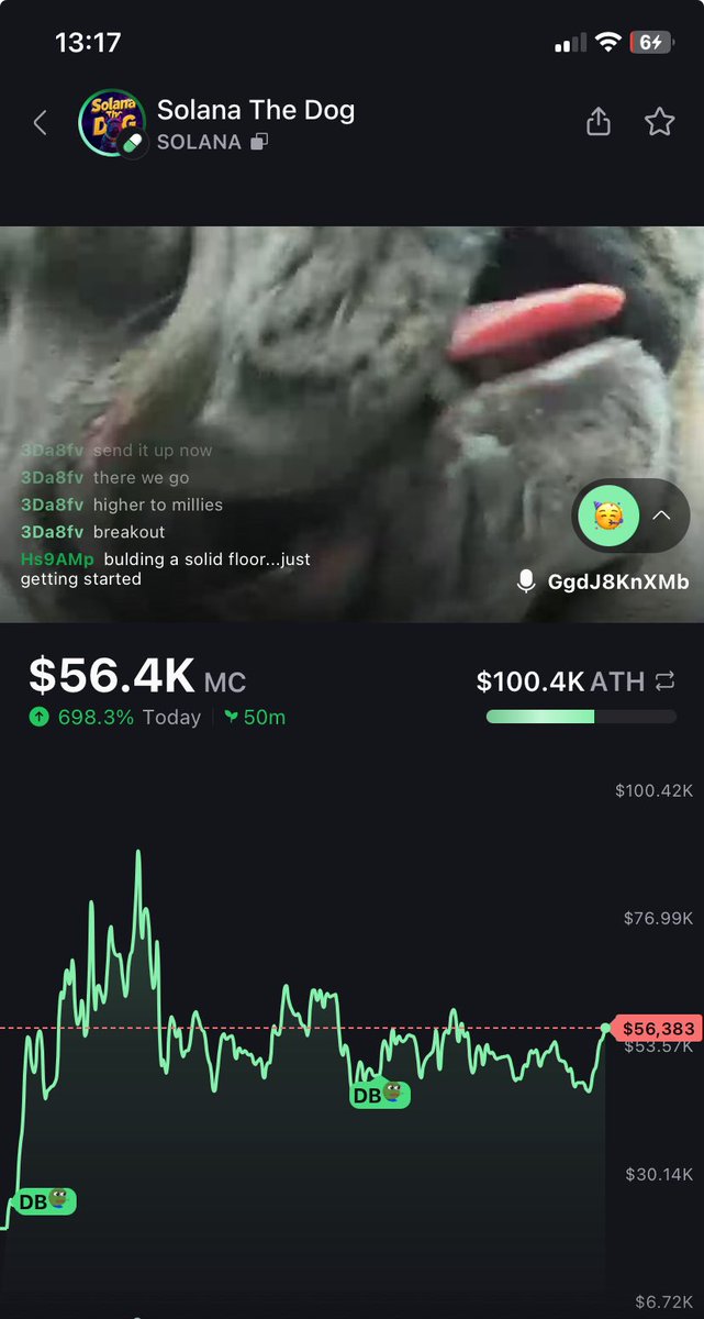 The first dog named <a href="/solana/">Solana</a> is being streamed on @pumpdotfun live with a <a href="/solanamobile/">Seeker | Solana Mobile</a> seeker phone.

Can’t get no more cultured than that 

A homie, who is well known in the space, launched this so even though I have my own project, I’m still gonna support my homies