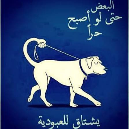 يومين 😍😍😍