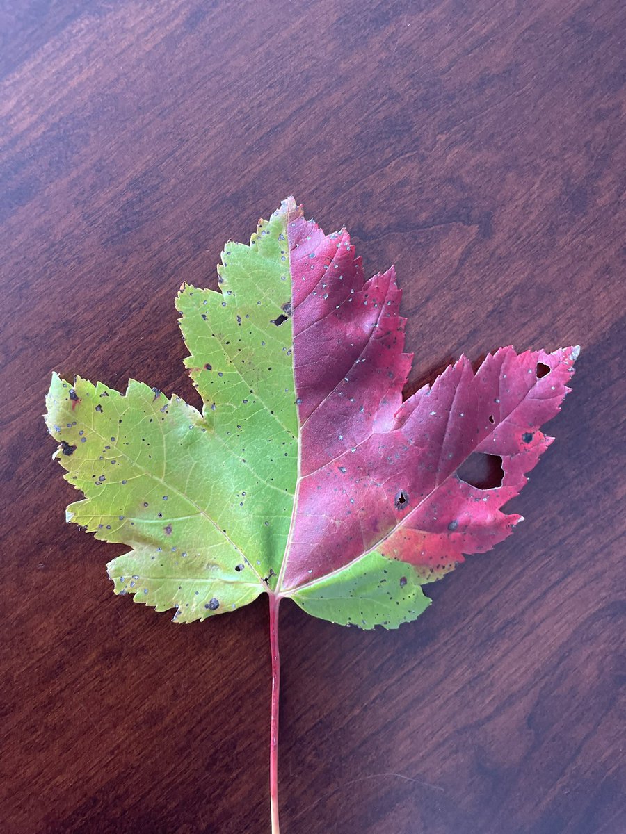 Is it summer, is it fall?