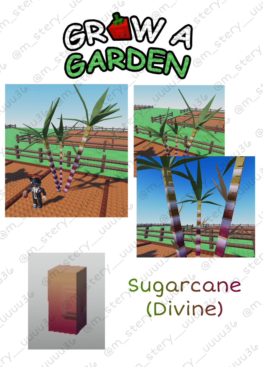 m_stery__uuuu36's tweet image. Sugarcane Plant Concept!

#Roblox #GrowAGarden #RobloxGrowAGarden #RobloxGAG #GAG #RobloxConcept #GrowAGardenConcept #GAGconcept #jandel