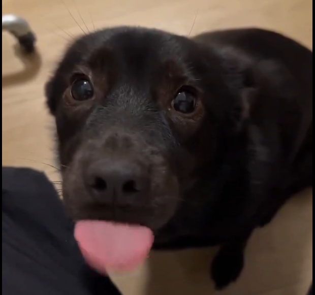 Duos day 1 w/<a href="/Malcss97/">Malcss97</a> 
<a href="/VynzClub/">Vynz Club</a>